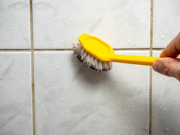 Professional Mold Removal in Burgaw, NC