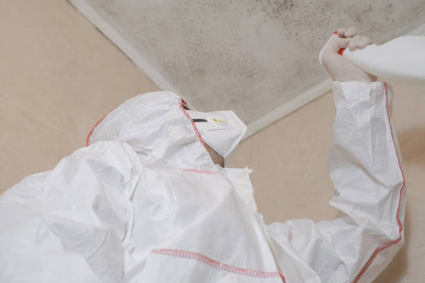 Best Professional Mold Removal  in Burgaw, NC