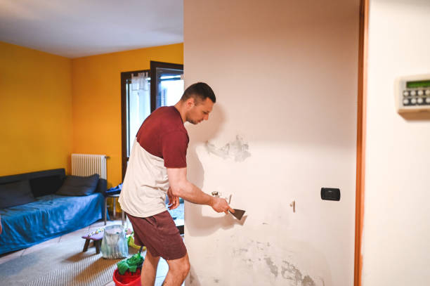 Best Home Mold Removal  in Burgaw, NC